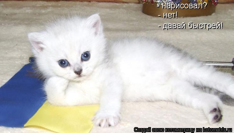 - нарисовал? - нет! - давай быстрей!... Котоматрица: - нарисовал? - нет! - давай быстрей!