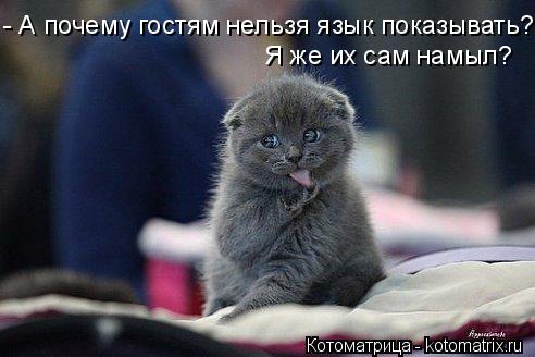- А почему гостям нельзя язык показывать? Я же их сам намыл?... Котоматрица: - А почему гостям нельзя язык показывать? Я же их сам намыл?