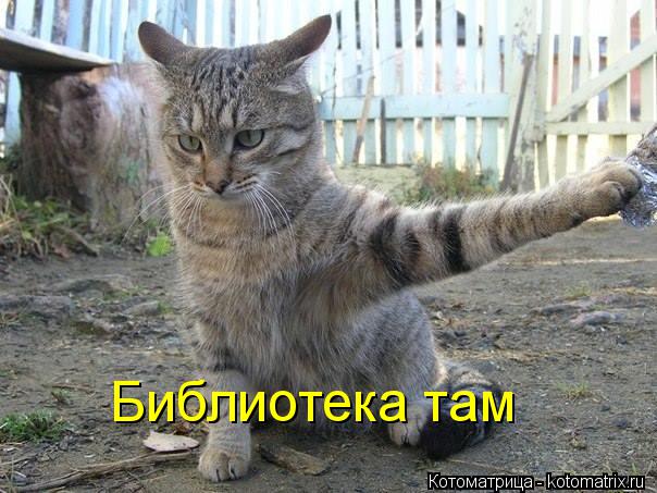 Библиотека там... Котоматрица: Библиотека там