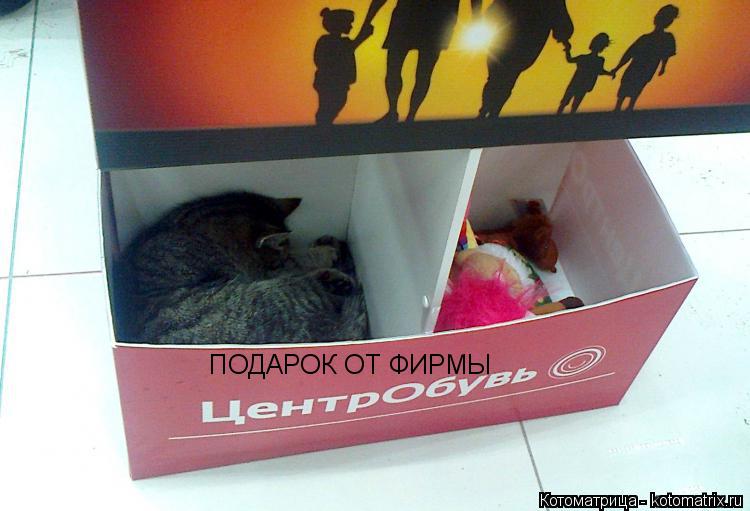 ПОДАРОК ОТ ФИРМЫ... Котоматрица: ПОДАРОК ОТ ФИРМЫ