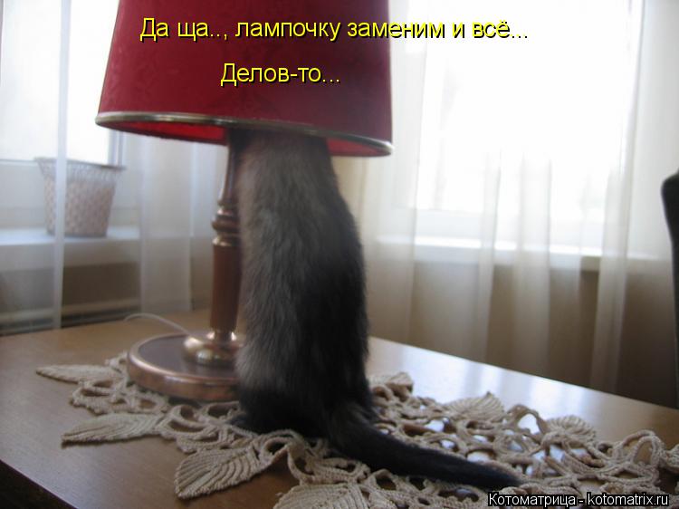 Да ща.., лампочку заменим и всё... Делов-то...... Котоматрица: Да ща.., лампочку заменим и всё... Делов-то...