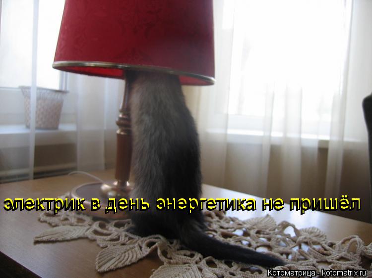 электрик в день энергетика не пришёл электрик в день энергетика не пришёл... Котоматрица: электрик в день энергетика не пришёл электрик в день энергетика не пришёл