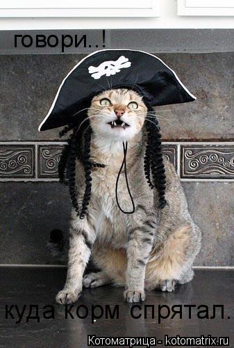 говори..! куда корм спрятал.... Котоматрица: говори..! куда корм спрятал.