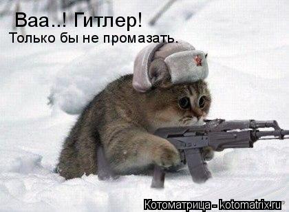 Котоматрица: Ваа..! Гитлер! Только бы не промазать.