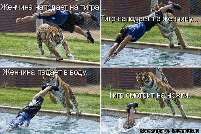 Женчина наподает на тигра... Тигр наподает на женчину... Женчина падает в воду... Тигр смотрит на нож... Котоматрица: Женчина наподает на тигра... Тигр наподает на женчину... Женчина падает в воду... Тигр смотрит на ножки!