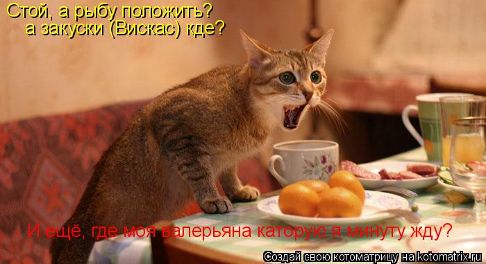 Стой, а рыбу положить? а закуски (Вискас) кде? И ещё, где моя валерьяна каторую я минуту жду?... Котоматрица: Стой, а рыбу положить? а закуски (Вискас) кде? И ещё, где моя валерьяна каторую я минуту жду?