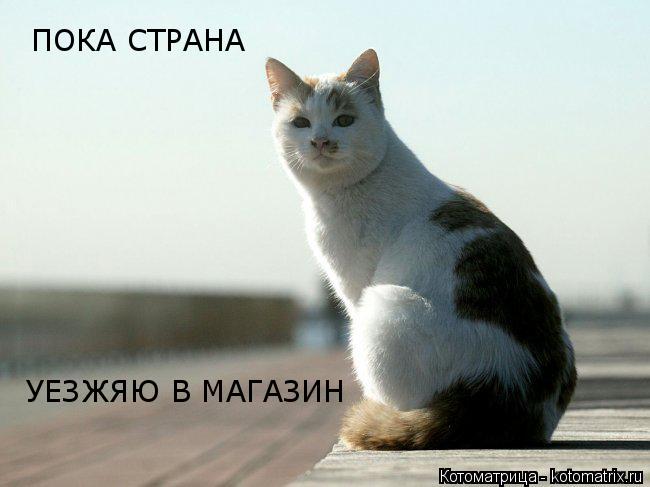 ПОКА СТРАНА УЕЗЖЯЮ В МАГАЗИН... Котоматрица: ПОКА СТРАНА УЕЗЖЯЮ В МАГАЗИН