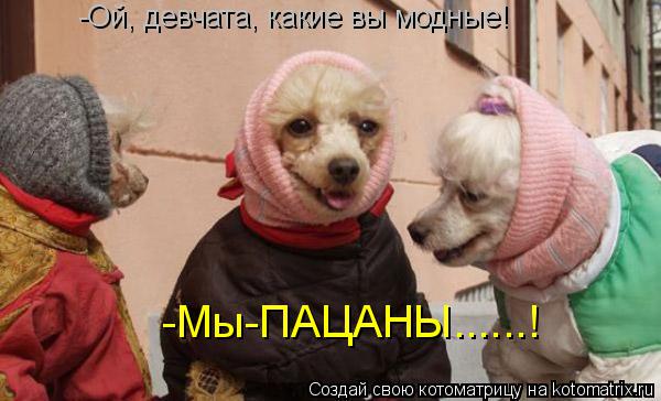 -Ой, девчата, какие вы модные! -Мы-ПАЦАНЫ......!... Котоматрица: -Ой, девчата, какие вы модные! -Мы-ПАЦАНЫ......!