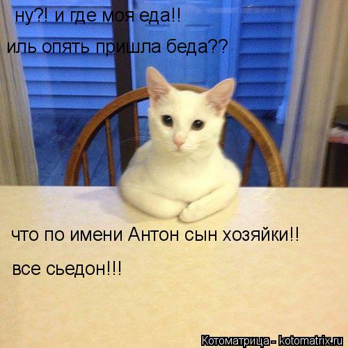 ну?! и где моя еда!! иль опять пришла беда?? что по имени Антон сын хозяйки!! все сьедон!!!... Котоматрица: ну?! и где моя еда!! иль опять пришла беда?? что по имени Антон сын хозяйки!! все сьедон!!!
