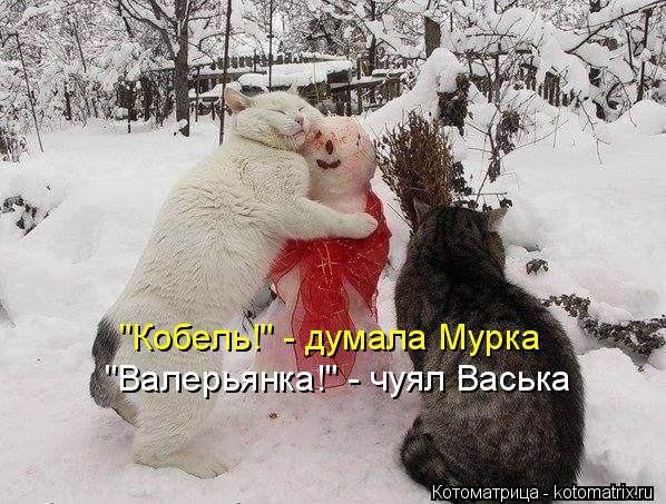 "Кобель!" - думала Мурка "Валерьянка!" - чуял Васька... Котоматрица: "Кобель!" - думала Мурка "Валерьянка!" - чуял Васька