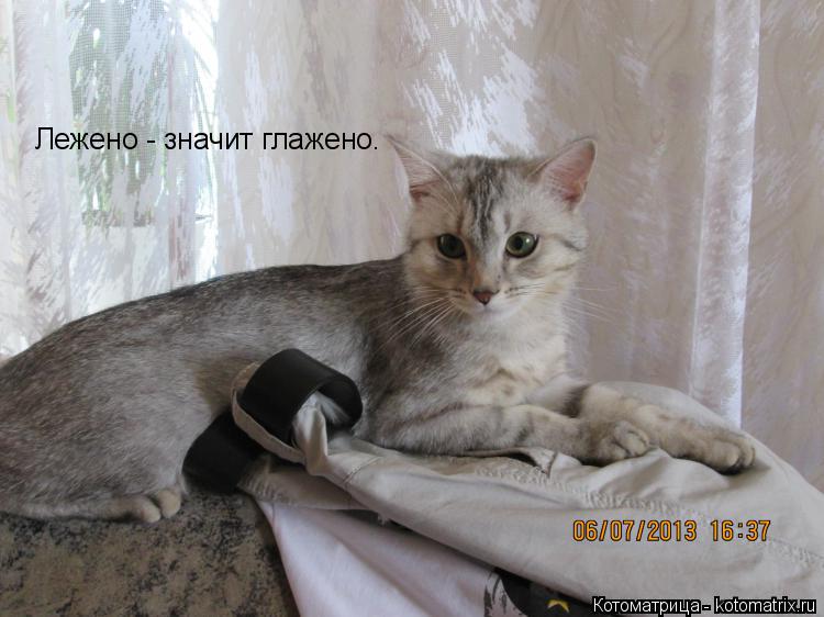 Лежено - значит глажено.... Котоматрица: Лежено - значит глажено.