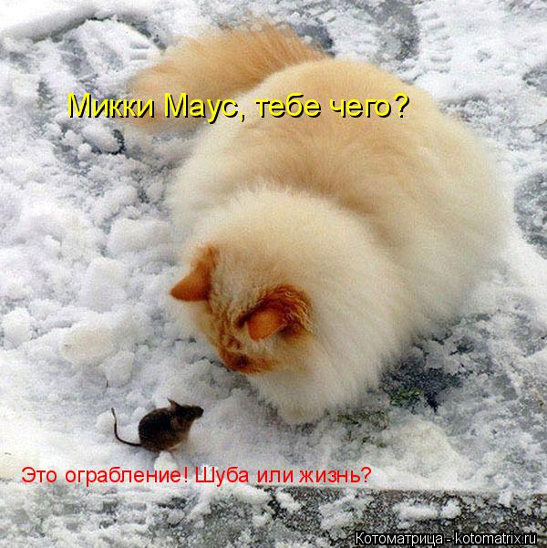 Микки Маус, тебе чего? Это ограбление! Шуба или жизнь?... Котоматрица: Микки Маус, тебе чего? Это ограбление! Шуба или жизнь?