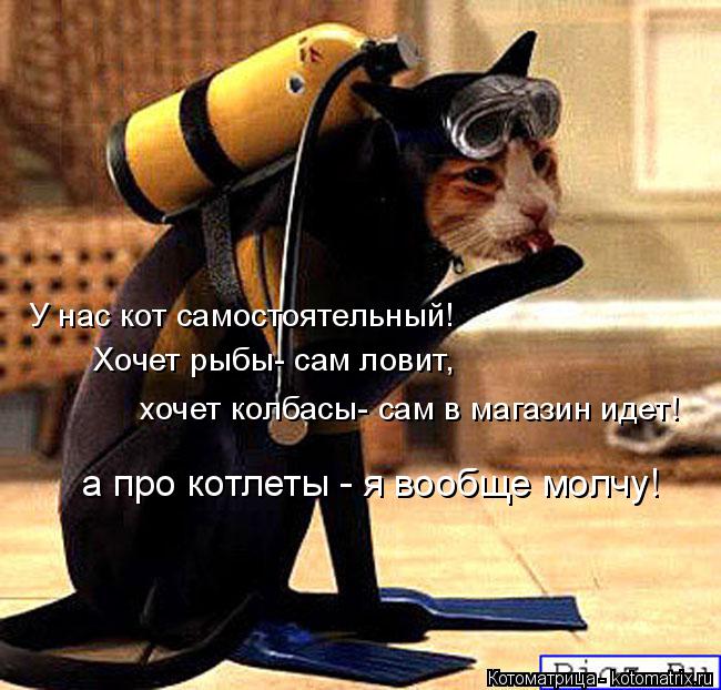 а про котлеты - я вообще молчу! У нас кот самостоятельный! Хочет рыбы- сам ловит, хочет колбасы- сам ... Котоматрица: а про котлеты - я вообще молчу! У нас кот самостоятельный! Хочет рыбы- сам ловит, хочет колбасы- сам в магазин идет!