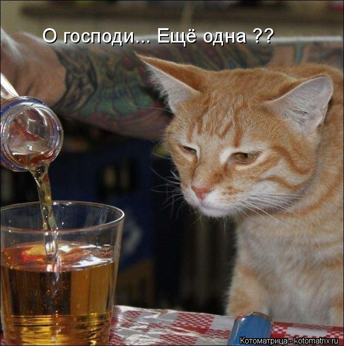 О господи... Ещё одна ??... Котоматрица: О господи... Ещё одна ??