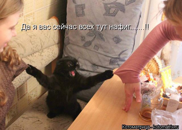 Котоматрица: Да я вас сейчас всех тут нафиг.......!!