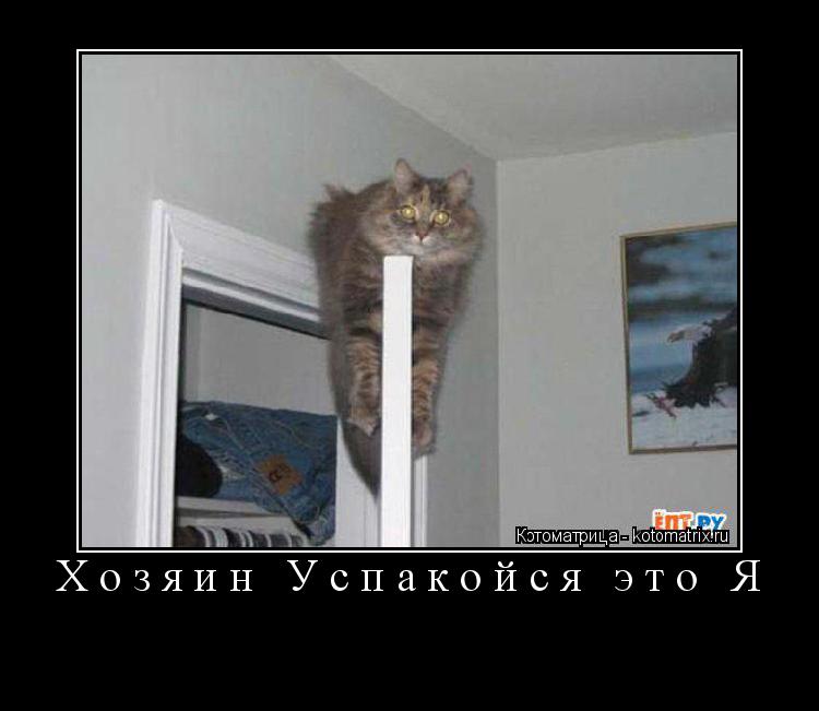 Хозяин Успакойся это Я ... Котоматрица: Хозяин Успакойся это Я