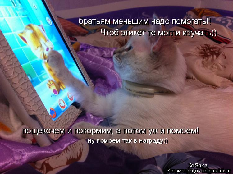 братьям меньшим надо помогать!! Чтоб этикет те могли изучать)) пощекочем и покормим, а потом уж и пом... Котоматрица: братьям меньшим надо помогать!! Чтоб этикет те могли изучать)) пощекочем и покормим, а потом уж и помоем! ну помоем так в награду)) КоShka