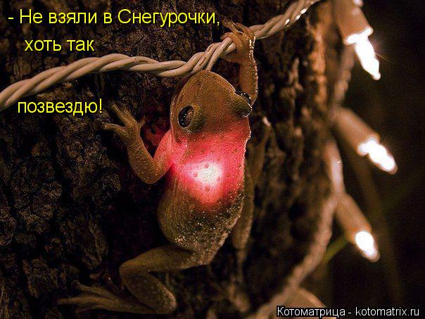 - Не взяли в Снегурочки, хоть так позвездю!... Котоматрица: - Не взяли в Снегурочки, хоть так позвездю!