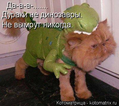 Котоматрица: Да-а-а-....... Дураки не динозавры. Не вымрут никогда.