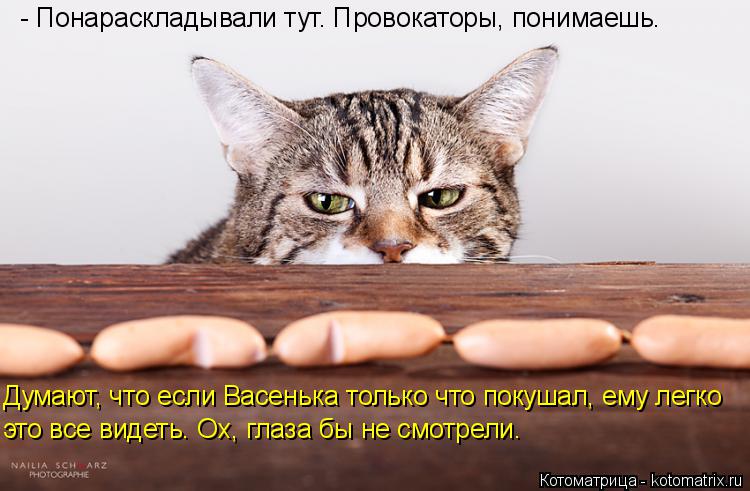 - Понараскладывали тут. Провокаторы, понимаешь. Думают, что если Васенька только что покушал, ему лег... Котоматрица: - Понараскладывали тут. Провокаторы, понимаешь. Думают, что если Васенька только что покушал, ему легко это все видеть. Ох, глаза бы не смотре