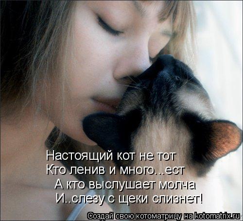 Котоматрица: А кто выслушает молча И..слезу с щеки слизнет! Настоящий кот не тот Кто ленив и много...ест
