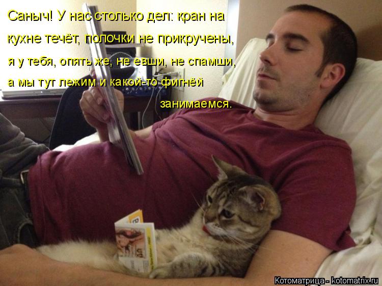 Саныч! У нас столько дел: кран на кухне течёт, полочки не прикручены, я у тебя, опять же, не евши, ... Котоматрица: Саныч! У нас столько дел: кран на кухне течёт, полочки не прикручены, я у тебя, опять же, не евши, не спамши, а мы тут лежим и какой-то фигнёй за