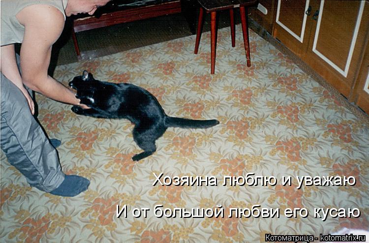 Хозяина люблю и уважаю И от большой любви его кусаю... Котоматрица: Хозяина люблю и уважаю И от большой любви его кусаю