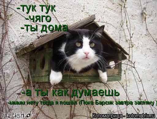 -тук тук -чяго -ты дома -а ты как думаешь -мммм нету тогда я пошёл (Пока Барсик завтра загляну )... Котоматрица: -тук тук -чяго -ты дома -а ты как думаешь -мммм нету тогда я пошёл (Пока Барсик завтра загляну )