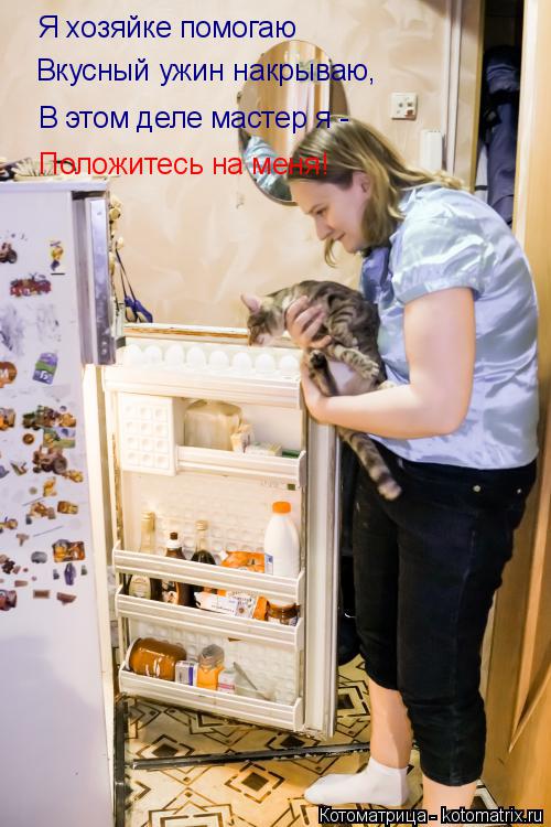 Я хозяйке помогаю Вкусный ужин накрываю, В этом деле мастер я - Положитесь на меня!... Котоматрица: Я хозяйке помогаю Вкусный ужин накрываю, В этом деле мастер я - Положитесь на меня!