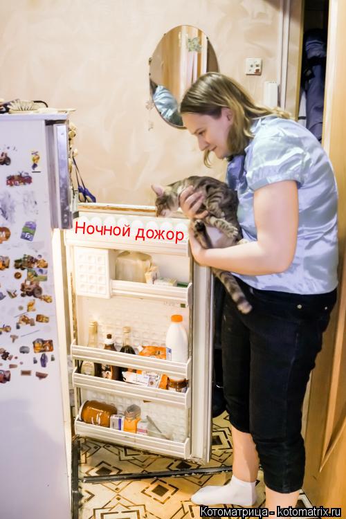 Ночной дожор... Котоматрица: Ночной дожор