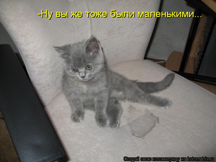 -Ну вы же тоже были маленькими...... Котоматрица: -Ну вы же тоже были маленькими...