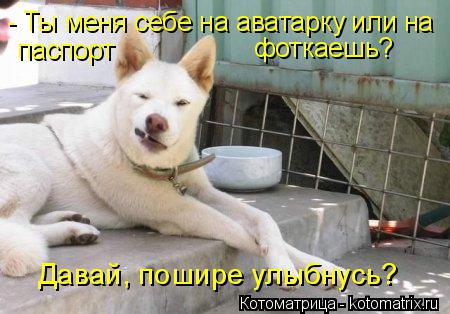 - Ты меня себе на аватарку или на паспорт фоткаешь? Давай, пошире улыбнусь?... Котоматрица: - Ты меня себе на аватарку или на паспорт фоткаешь? Давай, пошире улыбнусь?