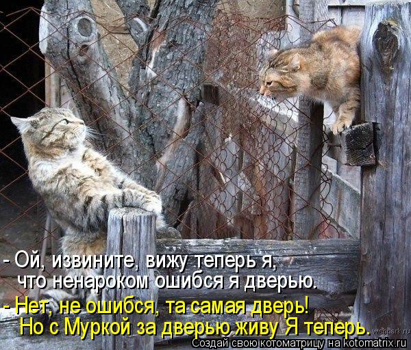 Но с Муркой за дверью живу Я теперь. - Нет, не ошибся, та самая дверь! что ненароком ошибся я дверью.... Котоматрица: Но с Муркой за дверью живу Я теперь. - Нет, не ошибся, та самая дверь! что ненароком ошибся я дверью. - Ой, извините, вижу теперь я,