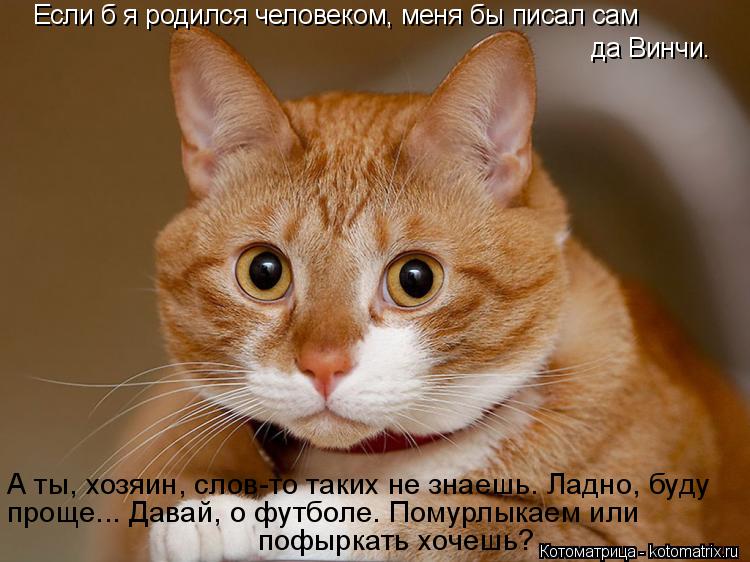 Если б я родился человеком, меня бы писал сам да Винчи. А ты, хозяин, слов-то таких не знаешь. Ладно... Котоматрица: Если б я родился человеком, меня бы писал сам да Винчи. А ты, хозяин, слов-то таких не знаешь. Ладно, буду проще... Давай, о футболе. Помурлыкаем