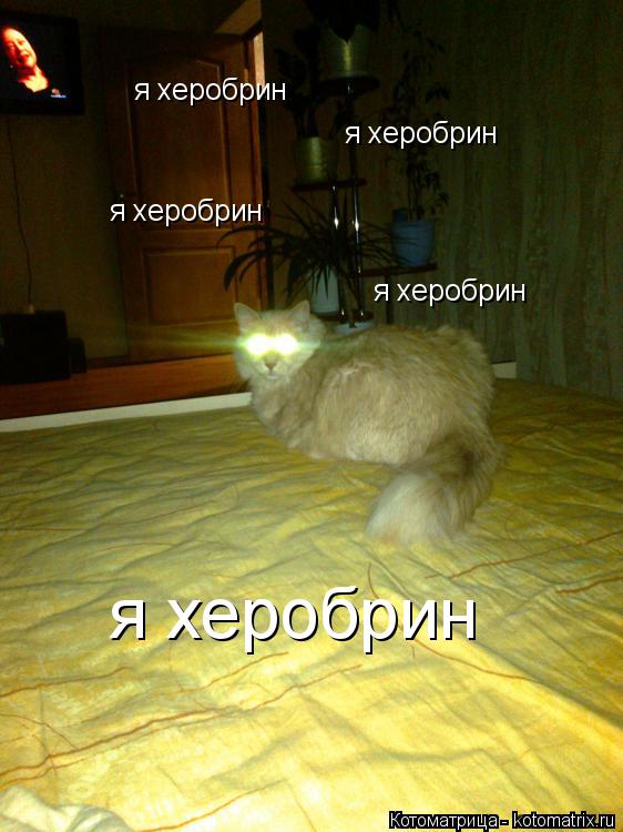 я херобрин я херобрин я херобрин я херобрин я херобрин... Котоматрица: я херобрин я херобрин я херобрин я херобрин я херобрин
