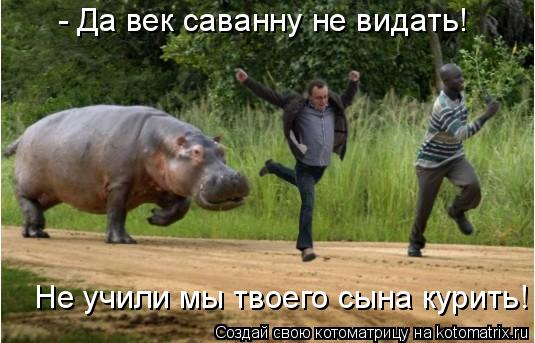 - Да век саванну не видать! Не учили мы твоего сына курить!... Котоматрица: - Да век саванну не видать! Не учили мы твоего сына курить!