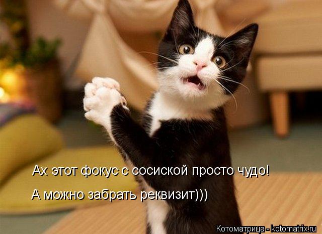 Ах этот фокус с сосиской просто чудо! А можно забрать реквизит)))... Котоматрица: Ах этот фокус с сосиской просто чудо! А можно забрать реквизит)))