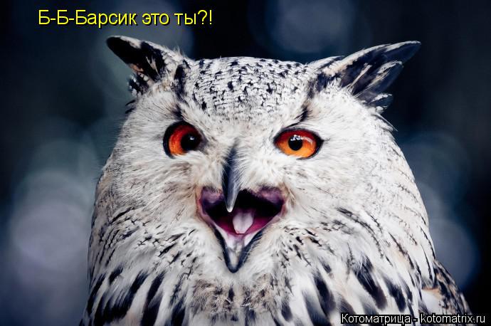 Б-Б-Барсик это ты?!... Котоматрица: Б-Б-Барсик это ты?!