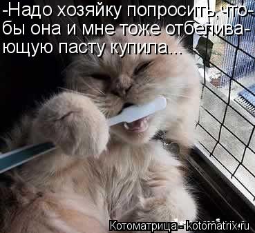 -Надо хозяйку попросить,что- бы она и мне тоже отбелива- ющую пасту купила...... Котоматрица: -Надо хозяйку попросить,что- бы она и мне тоже отбелива- ющую пасту купила...