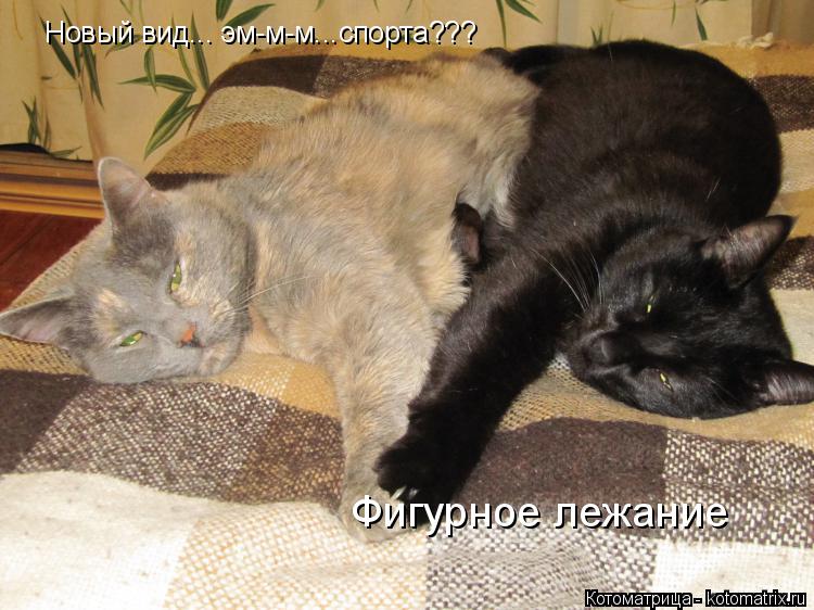Новый вид... эм-м-м...спорта??? Фигурное лежание... Котоматрица: Новый вид... эм-м-м...спорта??? Фигурное лежание