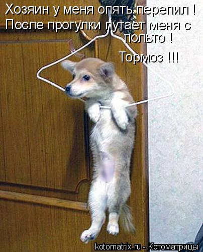 Хозяин у меня опять перепил ! После прогулки путает меня с польто ! Тормоз !!!... Котоматрица: Хозяин у меня опять перепил ! После прогулки путает меня с польто ! Тормоз !!!