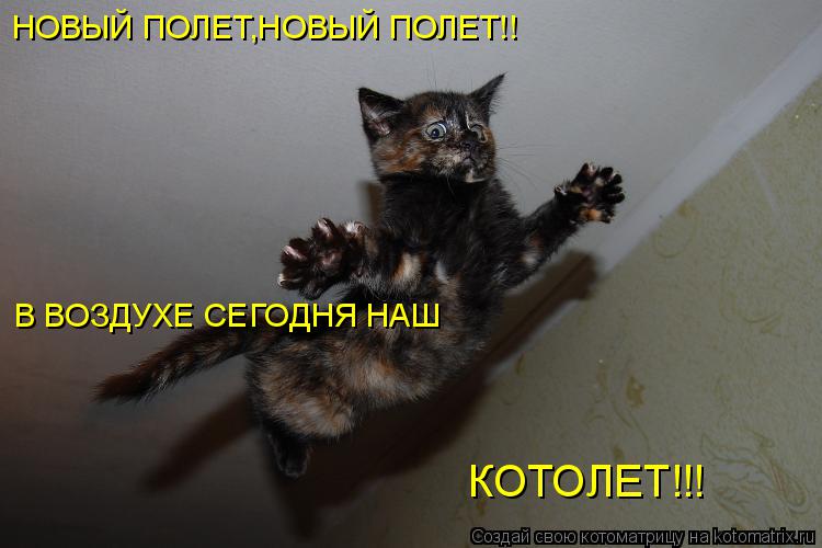 НОВЫЙ ПОЛЕТ,НОВЫЙ ПОЛЕТ!! В ВОЗДУХЕ СЕГОДНЯ НАШ КОТОЛЕТ!!!... Котоматрица: НОВЫЙ ПОЛЕТ,НОВЫЙ ПОЛЕТ!! В ВОЗДУХЕ СЕГОДНЯ НАШ КОТОЛЕТ!!!
