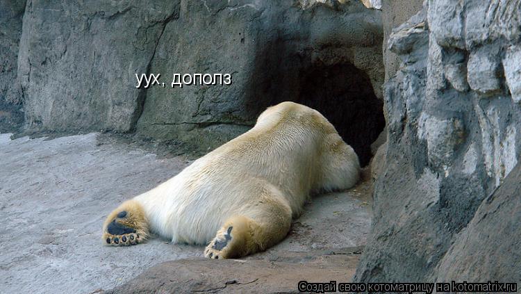уух, дополз... Котоматрица: уух, дополз