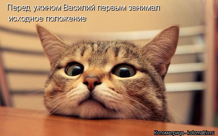 Перед ужином Василий первым занимал исходное положение... Котоматрица: Перед ужином Василий первым занимал исходное положение