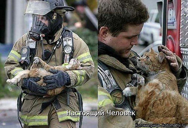 \ Настоящий Человек... Котоматрица: \ Настоящий Человек