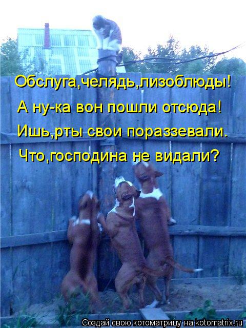 Обслуга,челядь,лизоблюды! А ну-ка вон пошли отсюда! Ишь,рты свои пораззевали. Что,господина не видали... Котоматрица: Обслуга,челядь,лизоблюды! А ну-ка вон пошли отсюда! Ишь,рты свои пораззевали. Что,господина не видали?
