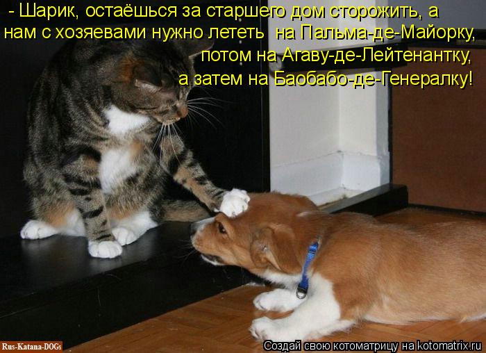 Котоматрица: нам с хозяевами нужно лететь  на Пальма-де-Майорку, - Шарик, остаёшься за старшего дом сторожить, а потом на Агаву-де-Лейтенантку, а затем на Б