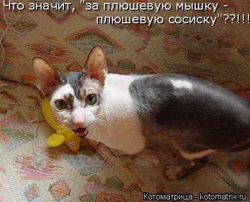 Что значит, "за плюшевую мышку - плюшевую сосиску"??!!!... Котоматрица: Что значит, "за плюшевую мышку - плюшевую сосиску"??!!!
