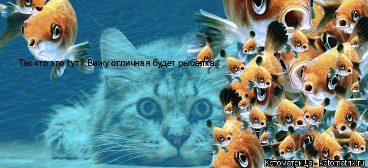 Так кто это тут? Вижу отличная будет рыбалка..... Котоматрица: Так кто это тут? Вижу отличная будет рыбалка..