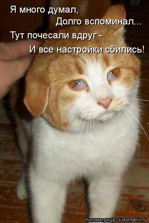 Я много думал, Долго вспоминал... Тут почесали вдруг - И все настройки сбились!... Котоматрица: Я много думал, Долго вспоминал... Тут почесали вдруг - И все настройки сбились!